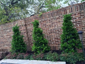 Кирпичный забор сплошной 12 метров фото в Ворсме